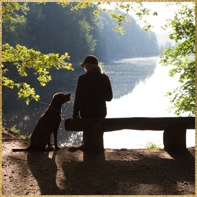 Communication animale intuitive et harmonisation énergétique pour animaux de compagnie avec Séverine Holistique près de Rennes