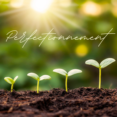 Formation de perfectionnement en énergétique et protection pour thérapeutes et praticiens avec Séverine Holistique à Saint-Thurial près de Rennes
