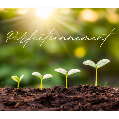 Formation perfectionnement à l'énergétique, en apprendre plus sur les talents subtils !