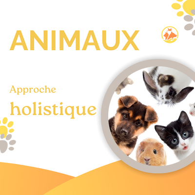 Th&eacute;rapeute holistique pratiquant la chromoth&eacute;rapie et le nettoyage &eacute;nerg&eacute;tique sur photo pour animaux.